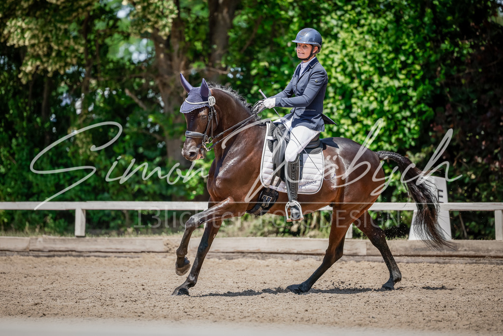 20250621-_3LI8362 | Tierfotografie Pferde, Hunde, Katzen, Haustiere.
Turnierfotografie Reitturniere, Reiten, Springreiten, Dressur in Hanau, dem Main-Kinzig-Kreis und dem Rhein-Main- Gebiet um Frankfurt