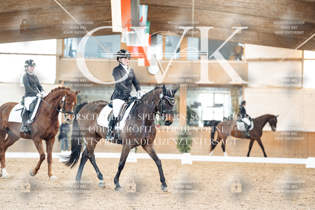 CK908277 | Turnierfotografie Pferdefotografie Trier Rheinland-Pfalz Pferdesport Reitsport Tierfotografie Sportfotografie Pferdevideo Pferdevideografie Equestrianvideography equestrianphotography  - Realisiert mit Pictrs.com