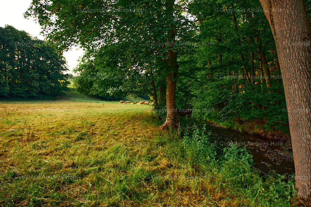 Im NSG Aumatal nahe der Prellmühle 04 | Bedeutsame Landschaften Deutschlands - Realisiert mit Pictrs.com