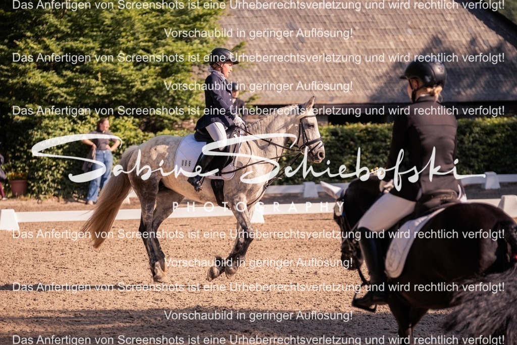 2025_05_31_DSCF2803 | People- und Tierfotografie, Imageaufnahmen, Veranstaltungsfotografie und Wandbilder aus der Natur ★ Made in Germany ✔️ Druck + Downloads ✔️ Naturfotografie in Top Qualität ★ schneller Versand, weltweite Lieferung! - Realisiert mit Pictrs.com