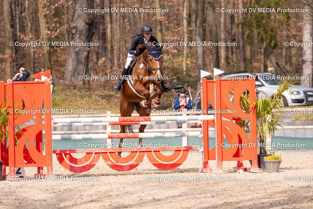 Kranichstein Tag 2-1983 | dv-media-shop - Realisiert mit Pictrs.com