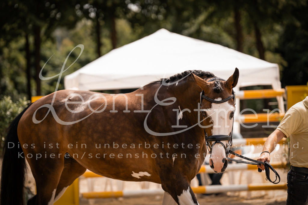 2. Fr00186 | Leoni Ertmer Photography - Realisiert mit Pictrs.com