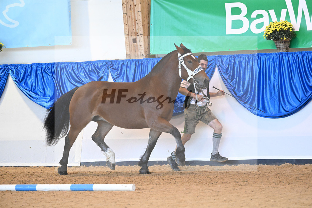 Kat-Nr. 68 Rivera_Erhart_53220263 | hf-fotografie - Realisiert mit Pictrs.com
