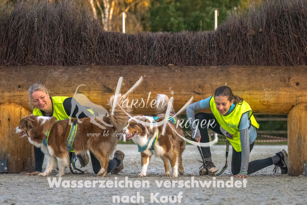 0821-00197 | kk-dogfotos