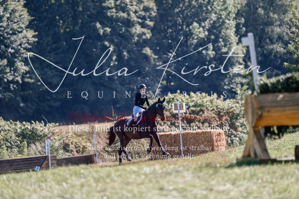 DSC_3399 | Pferde- und Turnierfotografie in Westsachsen. Pferdeportraits, Auftragszeichnungen und intuitive Kunst.
