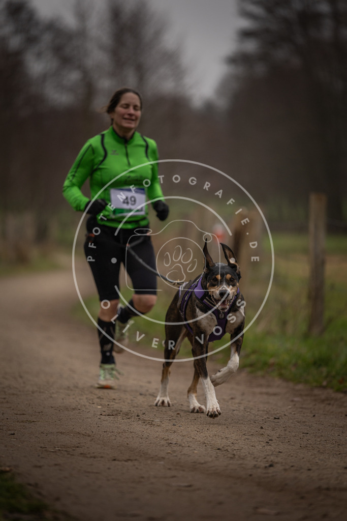Pfotenfotografie_DV3A2797 | Hundefotografie, Tierfotograf, Pfotenfotografie, Fotoshooting Hund, Hunde Portrait, Hundesport, Hundeportraits, Heideshooting, Hunde, Sportfotograf, Hundefotograf, Turnierhundsport, THS,  - Realisiert mit Pictrs.com