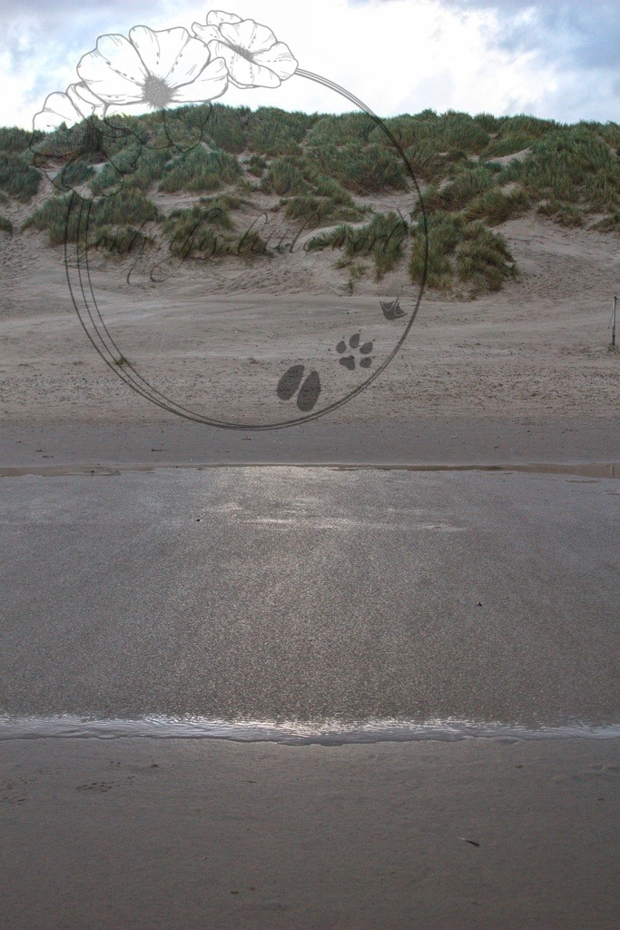 IMG_9259-01 | only.this.little.world - Realisiert mit Pictrs.com