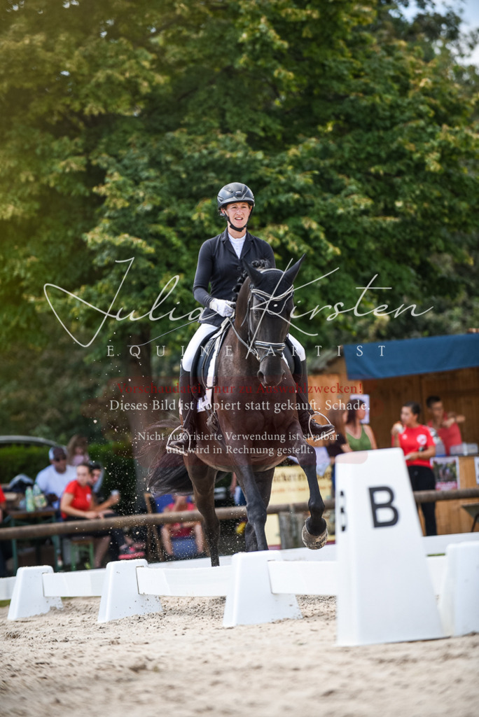 DSC_9065 | Pferde- und Turnierfotografie in Westsachsen. Pferdeportraits, Auftragszeichnungen und intuitive Kunst.