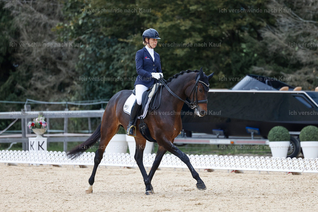 3-241-Dressur M_-StoibPH-2337 | working equitationturnier fotograf videograf stoibphotography marixx film working equitation deutschland reitsport turnierfotografie eventfotografie equestrian events
