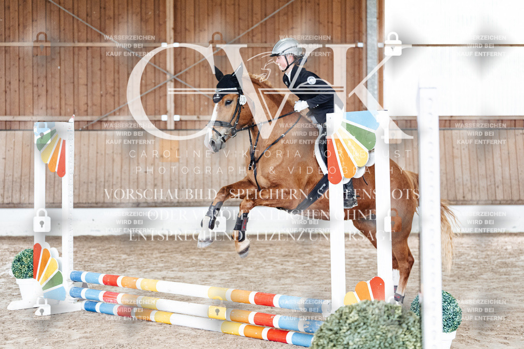 CK902536 | Turnierfotografie Pferdefotografie Trier Rheinland-Pfalz Pferdesport Reitsport Tierfotografie Sportfotografie Pferdevideo Pferdevideografie Equestrianvideography equestrianphotography  - Realized with Pictrs.com