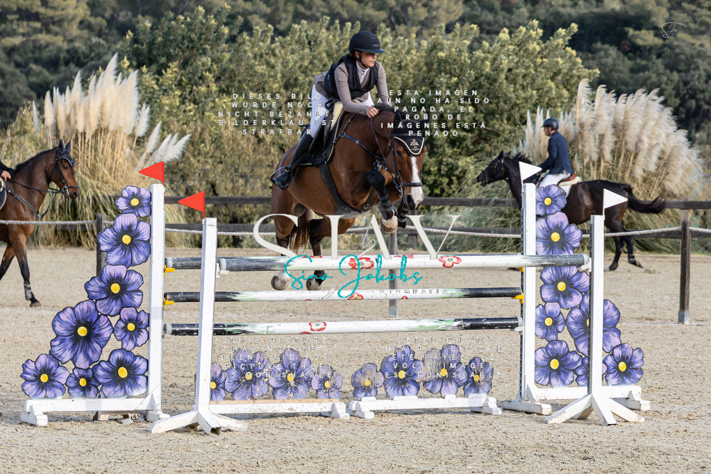 IMG_0436 | s-jay-photography - Realisiert mit Pictrs.com