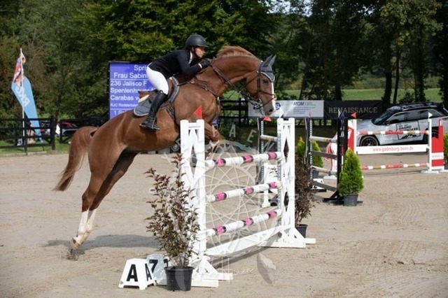 2B4A1273 | pixelfaenger - Realisiert mit Pictrs.com