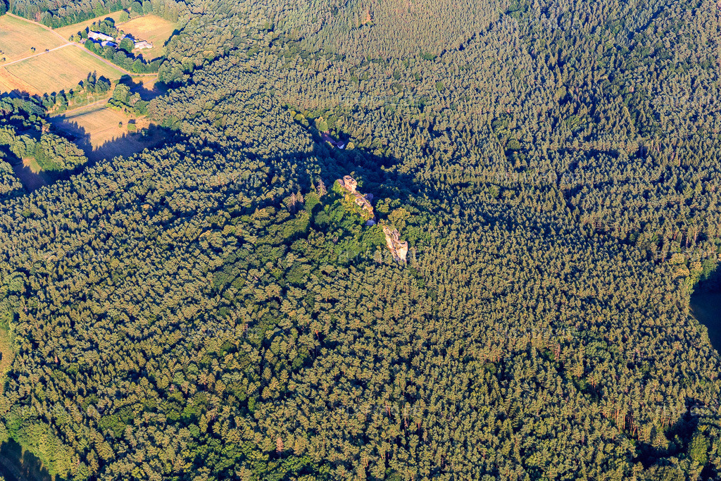 Luftbild: Burgruine Drachenfels in Busenberg im Bundesland Rheinland-Pfalz in Deutschland. Foto: IMG_149312.jpg vom 04.07.2025 durch Werner Riehm/FLY-FOTO.de