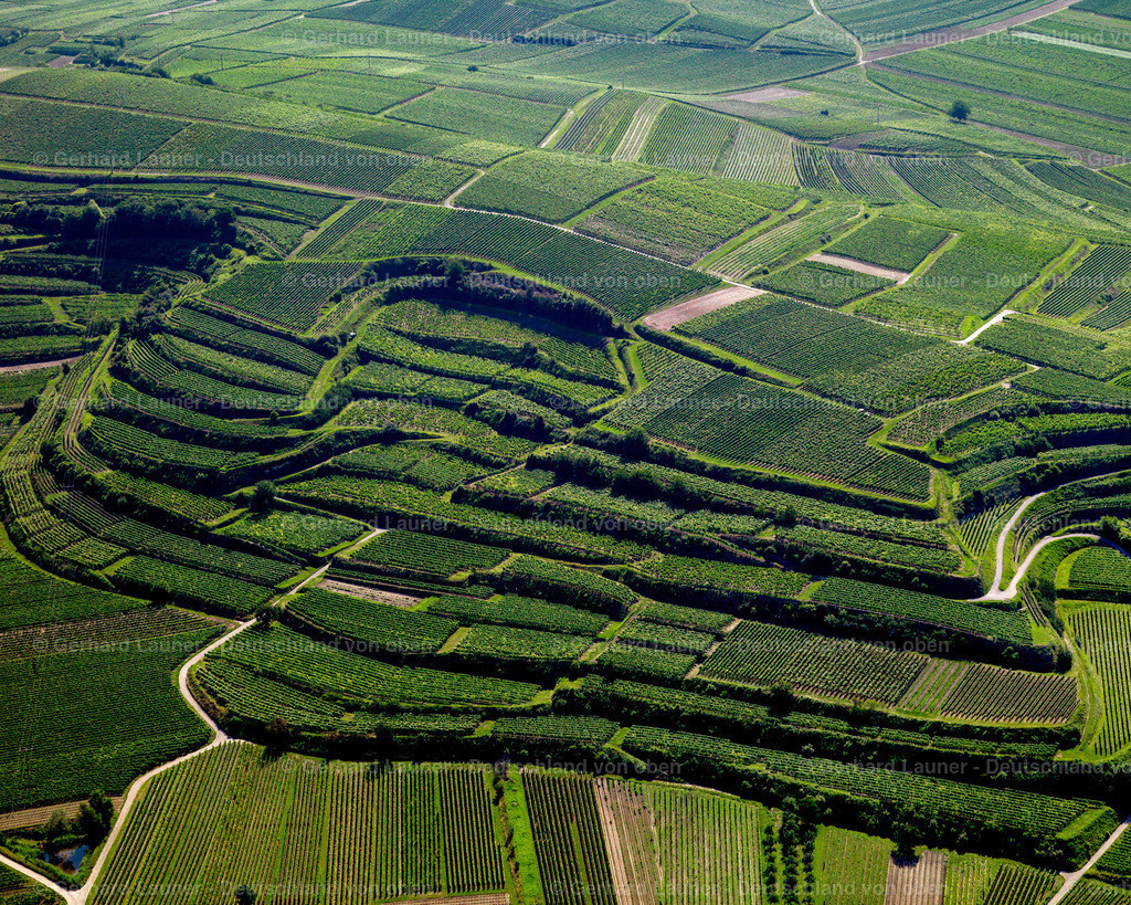 2700043 | breisach 190607 043