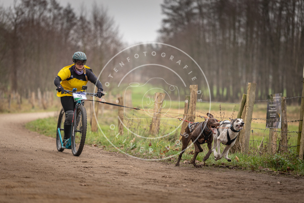 Pfotenfotografie_DV3A3197 | Hundefotografie, Tierfotograf, Pfotenfotografie, Fotoshooting Hund, Hunde Portrait, Hundesport, Hundeportraits, Heideshooting, Hunde, Sportfotograf, Hundefotograf, Turnierhundsport, THS,  - Realisiert mit Pictrs.com