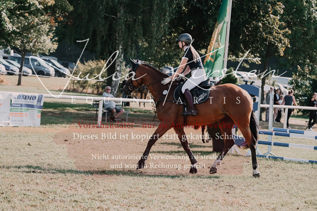 DSC_4680 | Pferde- und Turnierfotografie in Westsachsen. Pferdeportraits, Auftragszeichnungen und intuitive Kunst.