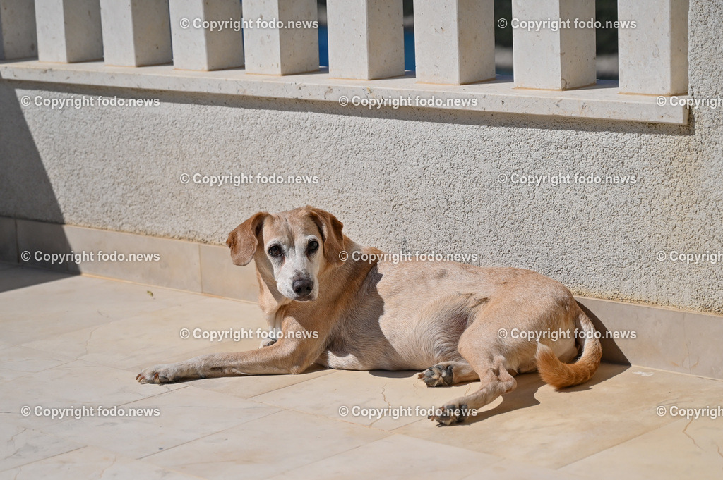 Kroatien_ 2022-15 | 11.09.2022, Kroatien, HRV, Gespannschaft Split-Dalmatien im Bild Vinišće
