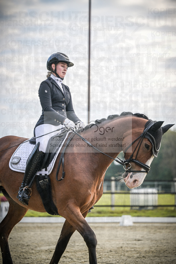 DOS_4120 | Entdecke hochwertige Reitturnierfotos von Foto Oger. Professionell, emotional und authentisch – jetzt Lieblingsmomente im Shop bestellen.Deutschlandweite Turnierfotografie. - Realisiert mit Pictrs.com