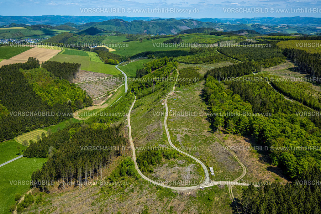 Sundern230505516 | Luftbild, Waldgebiet mit Waldschäden, Grevenstein, Meschede, Sauerland, Nordrhein-Westfalen, Deutschland
