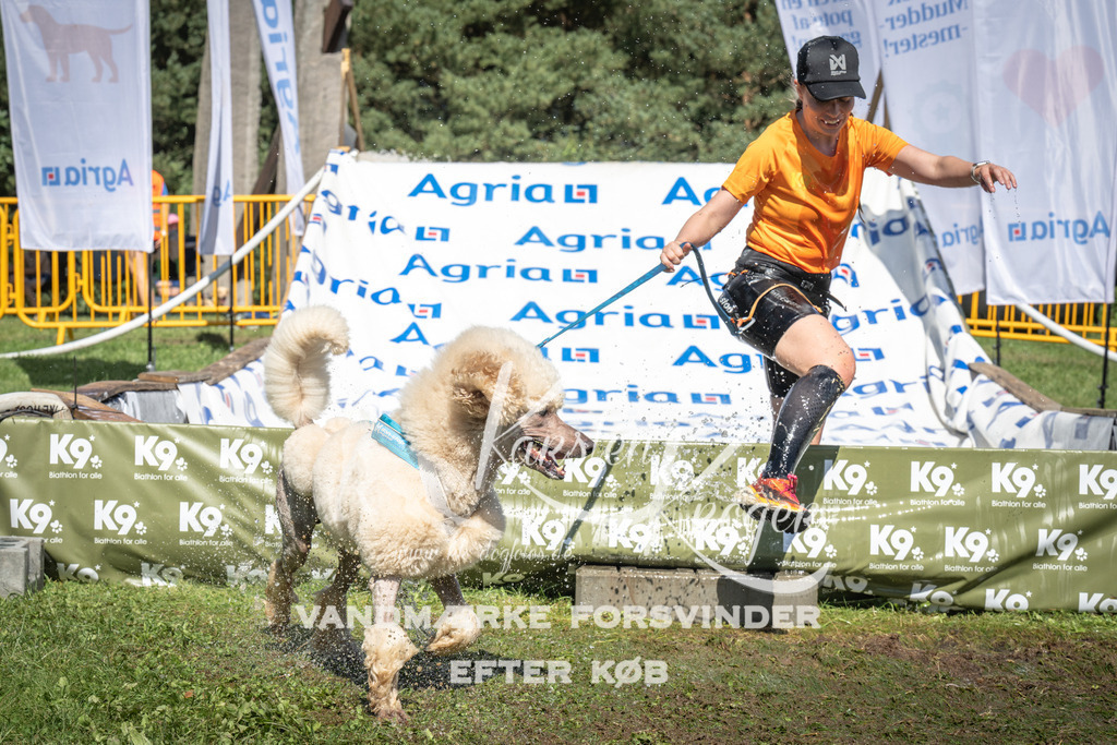 1447_ZZ95948 | kk-dogfotos