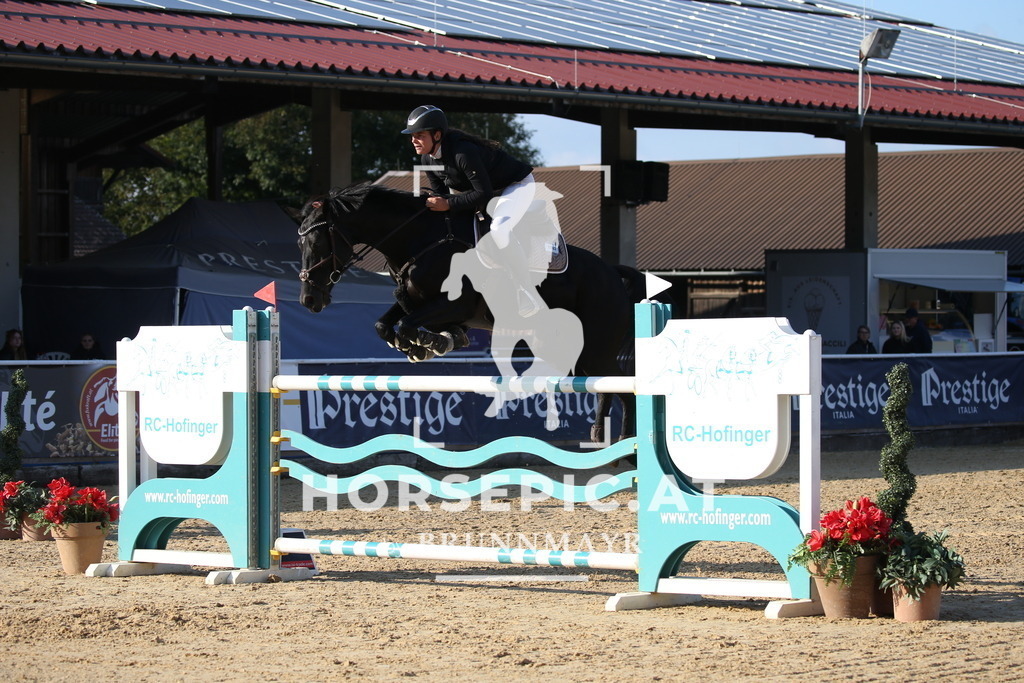 DL2Q5755 | Willkommen bei Brunnmayr - Design & Fotografie – Ihrem Spezialisten für Reitturniere und Pferdeveranstaltungen in Oberösterreich, Salzburg und Bayern! Seit über 17 Jahren sind wir leidenschaftlich dabei.