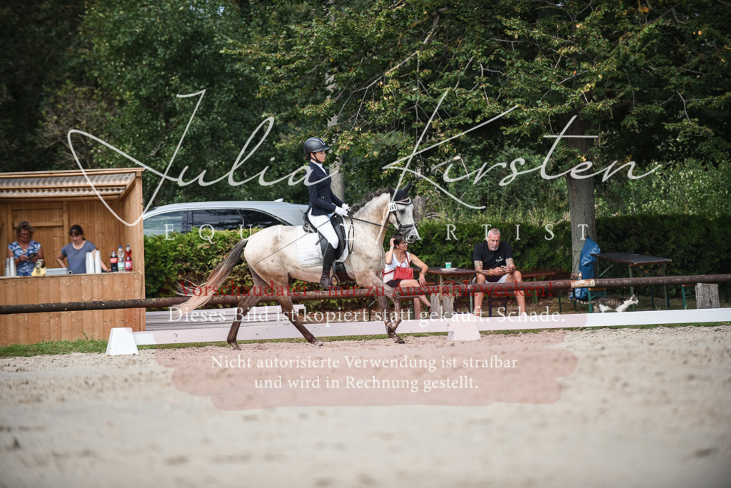 DSC_8677 | Pferde- und Turnierfotografie in Westsachsen. Pferdeportraits, Auftragszeichnungen und intuitive Kunst.
