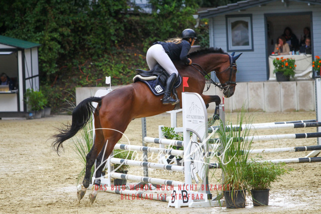 DKP40249 | Turniersportfotografie; Pferdefotografie; Dressurfotografie