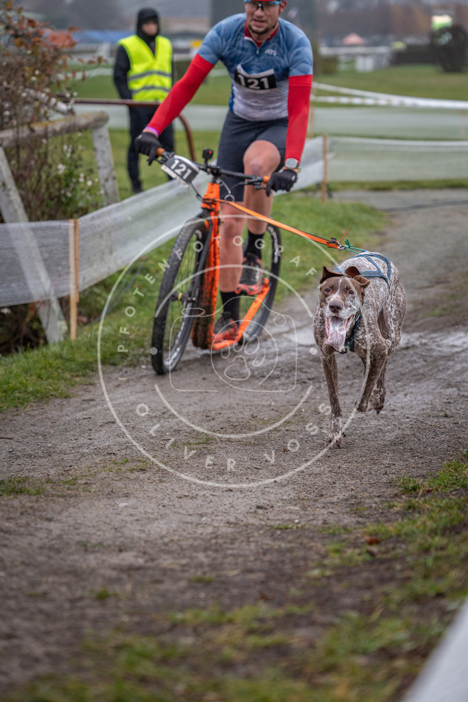 CaniXpix_0L8A0713 | Hundefotografie, Tierfotograf, Pfotenfotografie, Fotoshooting Hund, Hunde Portrait, Hundesport, Hundeportraits, Heideshooting, Hunde, Sportfotograf, Hundefotograf, Turnierhundsport, THS,  - Realisiert mit Pictrs.com