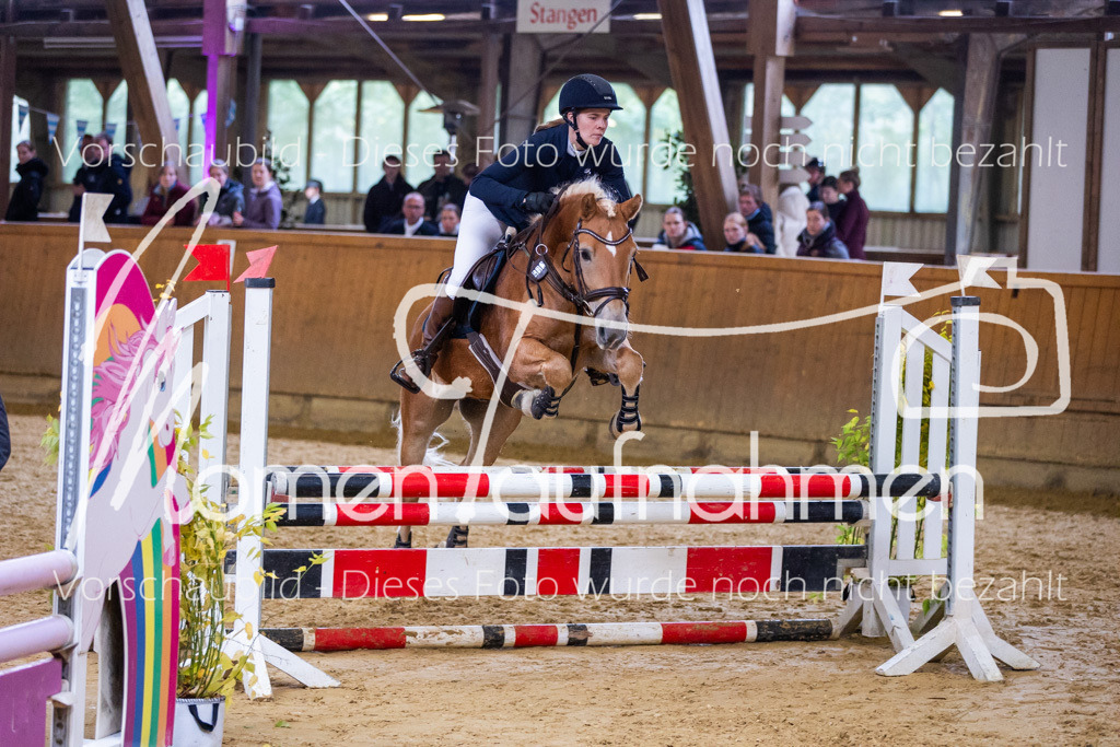 Sth-A-Springen-140 | MomenTaufnahmen Pferdesportfotos