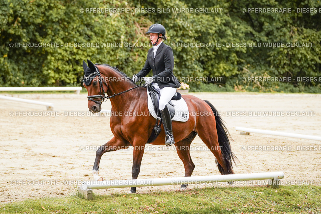 DSC09698 | Pferdegrafie