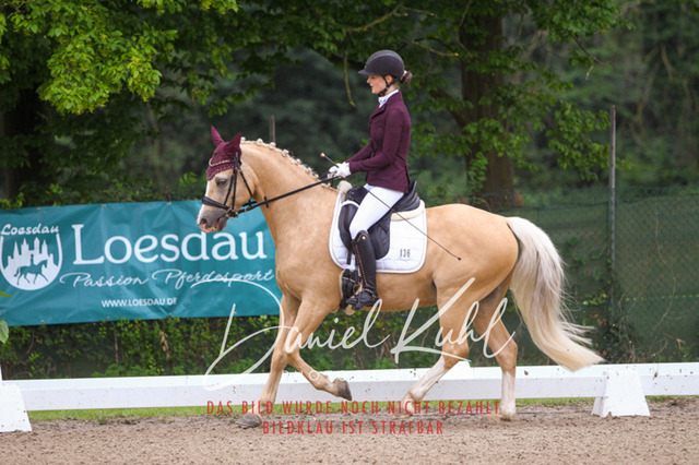 DKP41665 | Turniersportfotografie; Pferdefotografie; Dressurfotografie