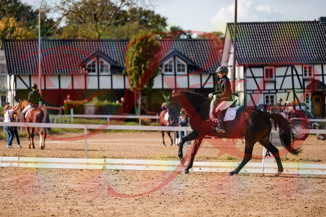 2026_10_03_Siefer-Hof_133657_Z63_98864061 | Professionelle Reitsport-, Turnier- und Eventfotografie von Robert Broda. Galerien mit ausgewählten und bearbeiteten Bildern direkt online ansehen und bestellen.