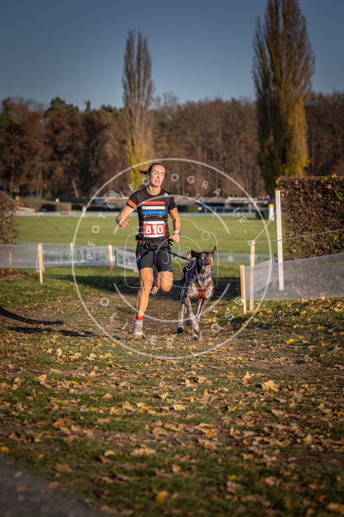 CaniXpix_DV3A3020 | Hundefotografie, Tierfotograf, Pfotenfotografie, Fotoshooting Hund, Hunde Portrait, Hundesport, Hundeportraits, Heideshooting, Hunde, Sportfotograf, Hundefotograf, Turnierhundsport, THS,  - Realisiert mit Pictrs.com