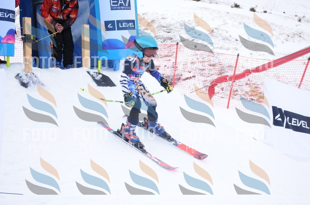 DSC_8660 | holidayphoto