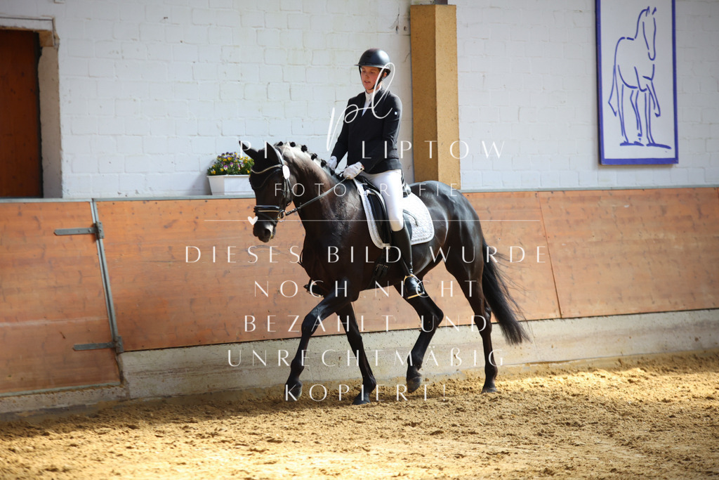 IMGT6801 | pl-fotografie