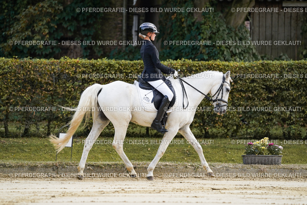 DSC05378 | Pferdegrafie