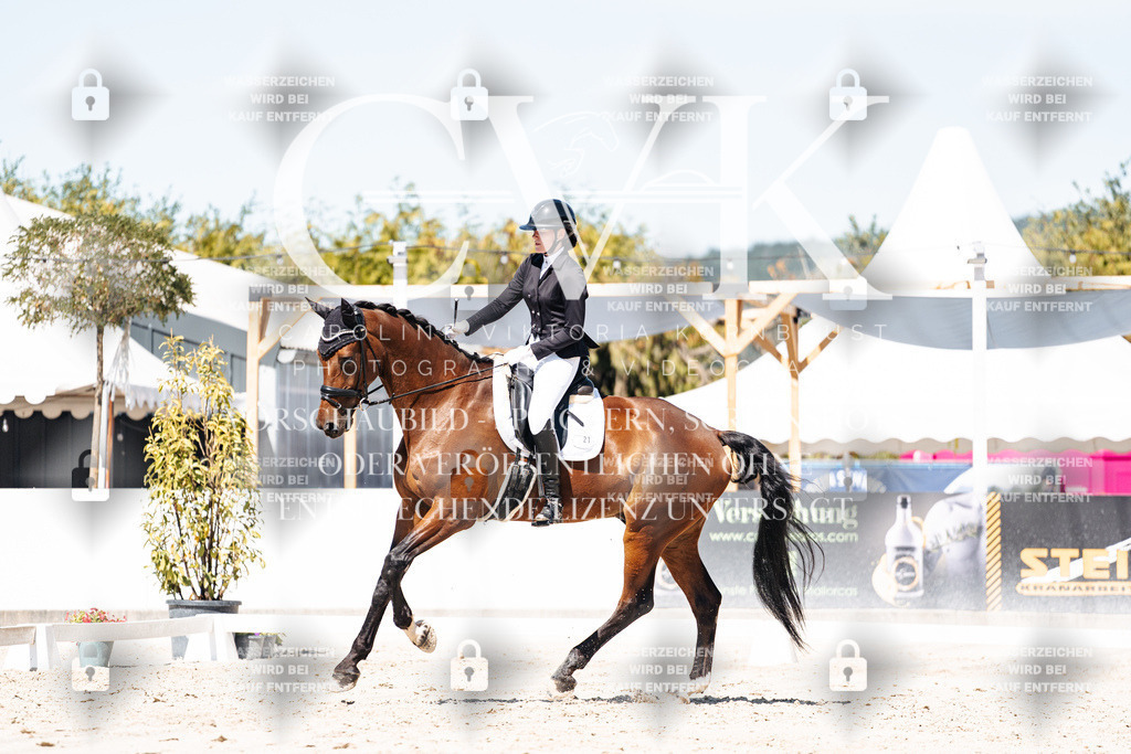 CK909808 | Turnierfotografie Pferdefotografie Trier Rheinland-Pfalz Pferdesport Reitsport Tierfotografie Sportfotografie Pferdevideo Pferdevideografie Equestrianvideography equestrianphotography  - Realisiert mit Pictrs.com