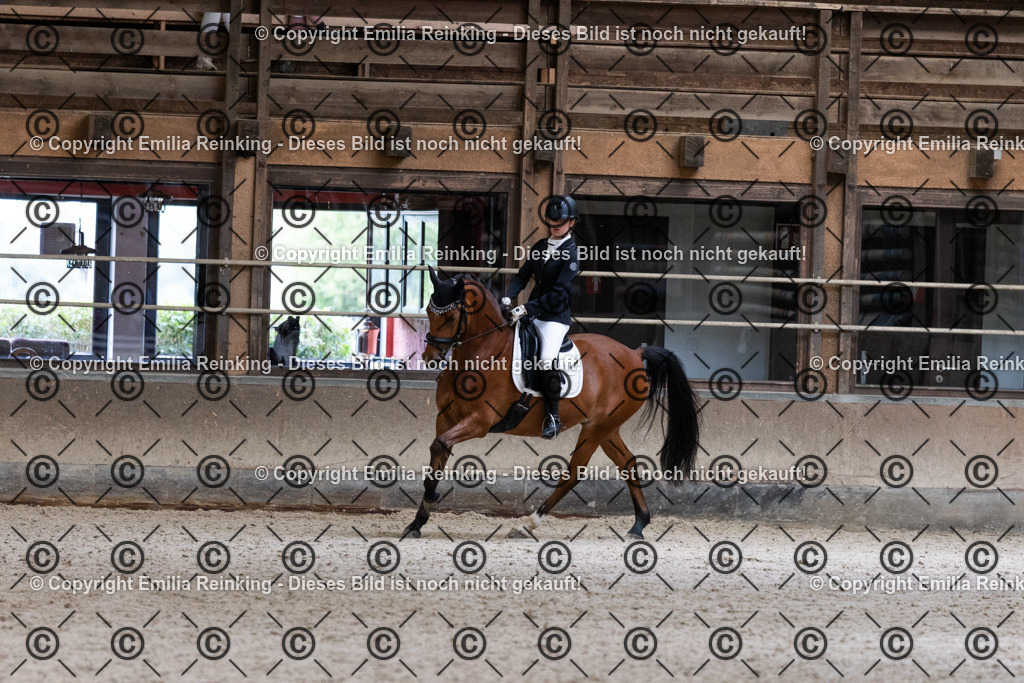 CL5A5300 | Emilia Reinking Fotografie - Realisiert mit Pictrs.com