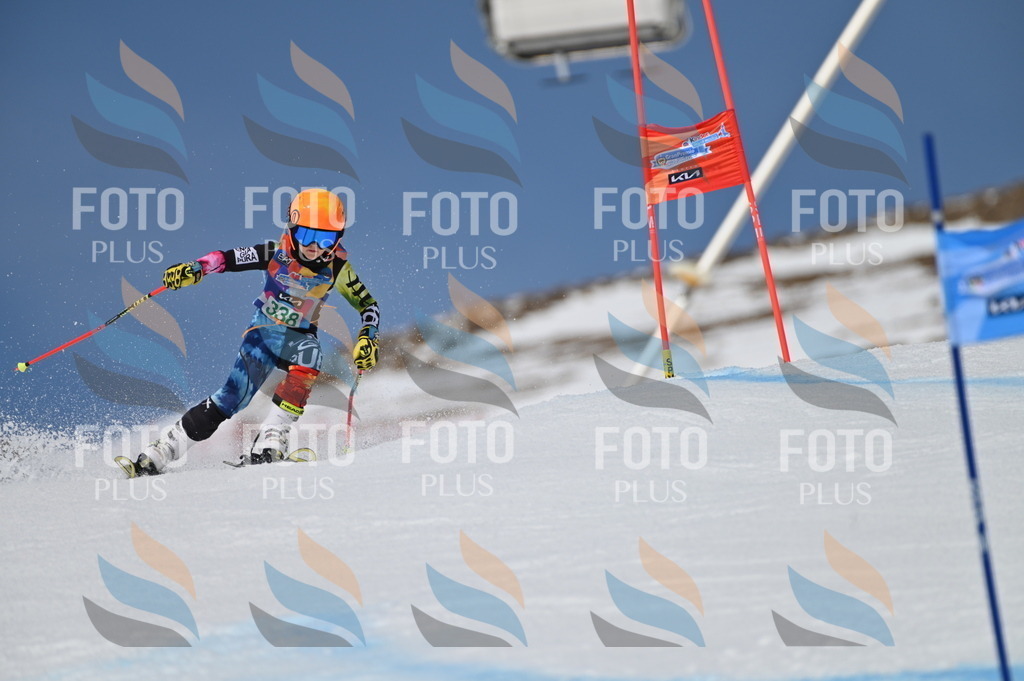 BGV_6690 | holidayphoto