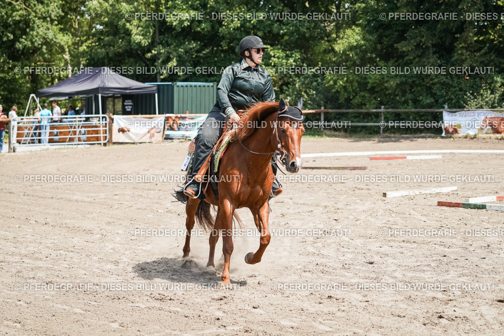 DSC06548 | Pferdegrafie