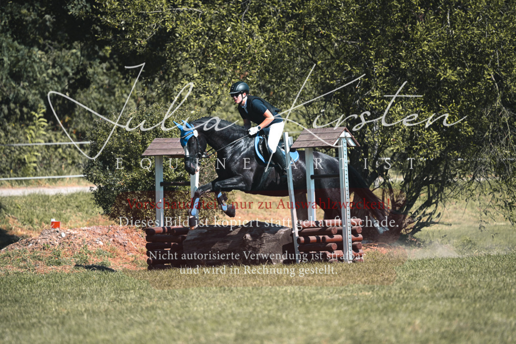 DSC_8110 | Pferde- und Turnierfotografie in Westsachsen. Pferdeportraits, Auftragszeichnungen und intuitive Kunst.