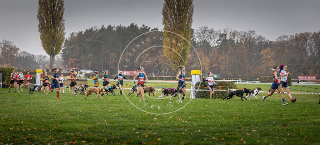 CaniXpix_DV3A8767 | Hundefotografie, Tierfotograf, Pfotenfotografie, Fotoshooting Hund, Hunde Portrait, Hundesport, Hundeportraits, Heideshooting, Hunde, Sportfotograf, Hundefotograf, Turnierhundsport, THS,  - Realisiert mit Pictrs.com