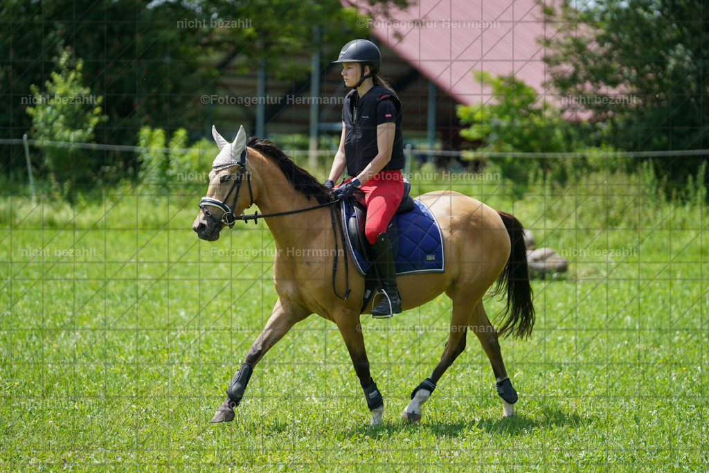 20240622-FAH07224 | Turnierfotografen Bayern, Reitsportbilder aus dem Geländekurs mit Felix Etzel auf dem Gut Waitzacker 2024