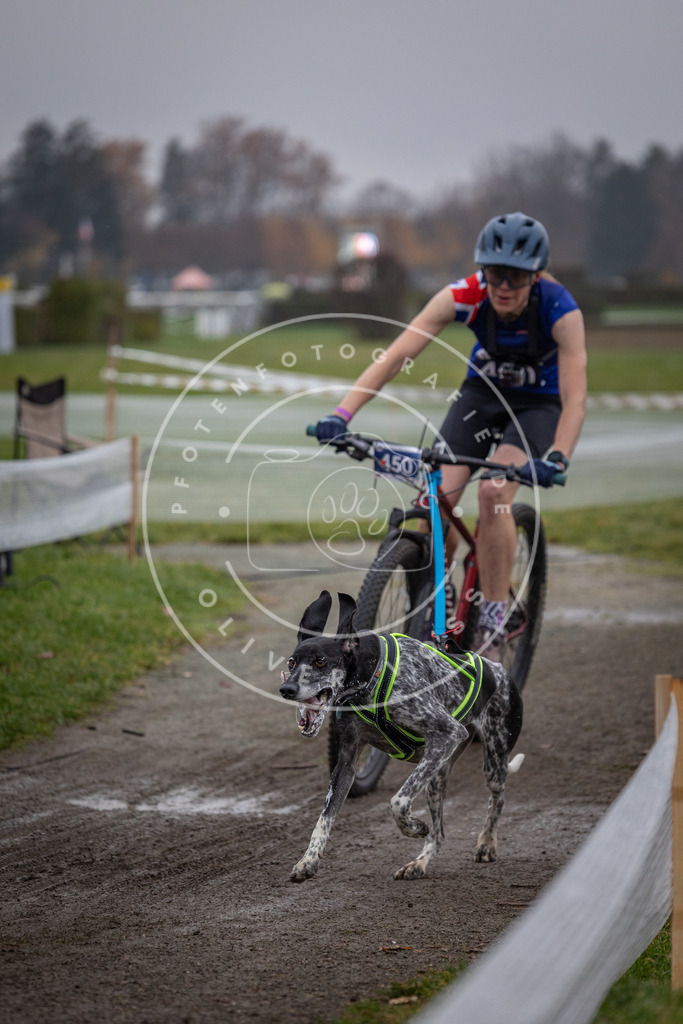 CaniXpix_0L8A1659 | Hundefotografie, Tierfotograf, Pfotenfotografie, Fotoshooting Hund, Hunde Portrait, Hundesport, Hundeportraits, Heideshooting, Hunde, Sportfotograf, Hundefotograf, Turnierhundsport, THS,  - Realisiert mit Pictrs.com