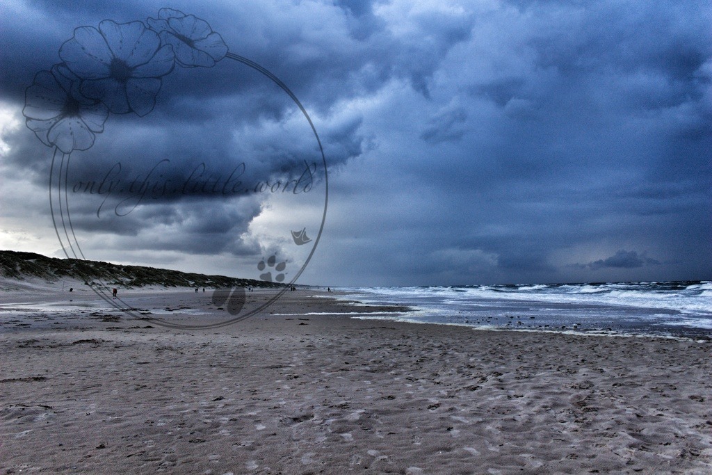 IMG_9218-01 | only.this.little.world - Realisiert mit Pictrs.com