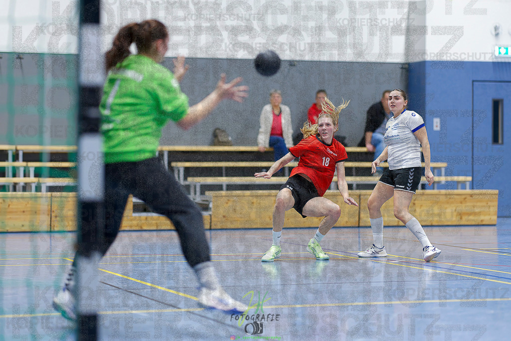 Frauen 2. Bezirksklasse; SG Rechtenbach - HSG Linden II | Frauen 2. Bezirksklasse; SG Rechtenbach - HSG Linden II am 16.11.2025 in Rechtenbach (Sporthalle Rechtenbach)Photo © 2025 - Jörg Heinrich - Realisiert mit Pictrs.com