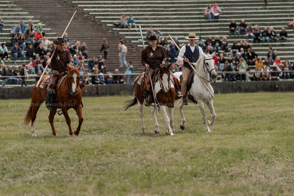 Showprogramm-111 | working equitationturnier fotograf videograf stoibphotography marixx film working equitation deutschland reitsport turnierfotografie eventfotografie equestrian events