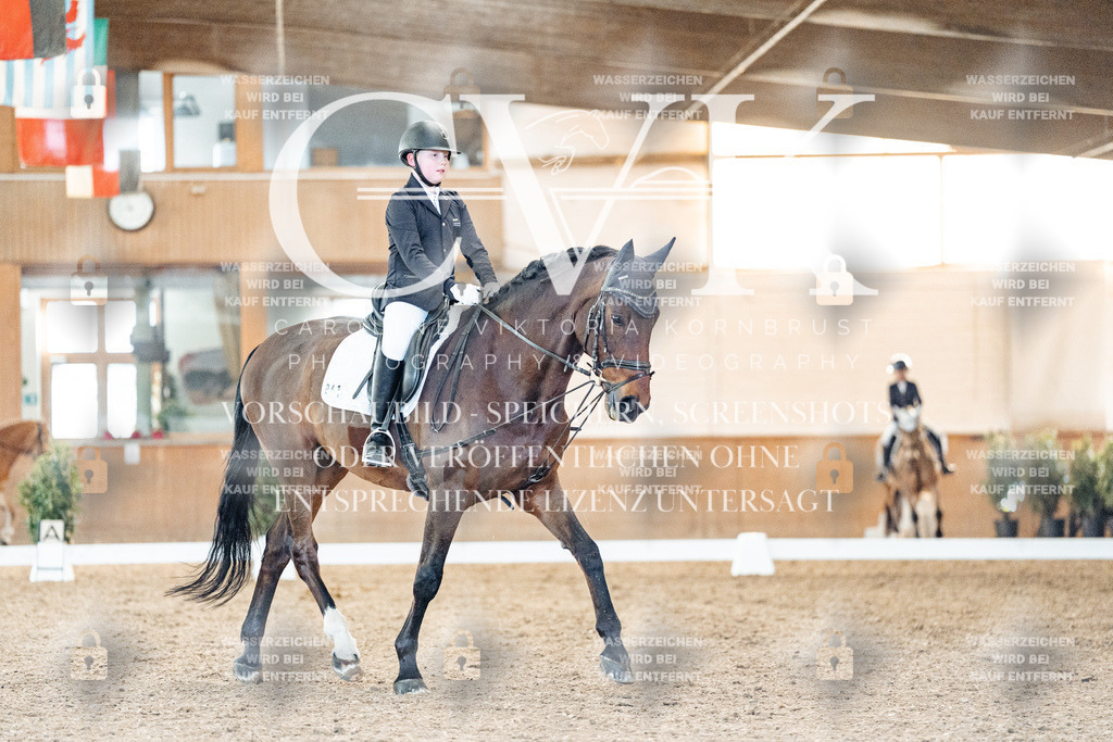 CK907243 | Turnierfotografie Pferdefotografie Trier Rheinland-Pfalz Pferdesport Reitsport Tierfotografie Sportfotografie Pferdevideo Pferdevideografie Equestrianvideography equestrianphotography  - Realisiert mit Pictrs.com