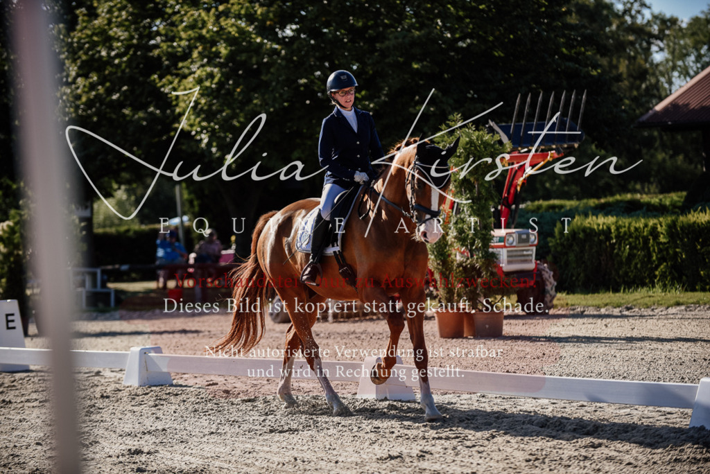 DSC_0490 | Pferde- und Turnierfotografie in Westsachsen. Pferdeportraits, Auftragszeichnungen und intuitive Kunst.