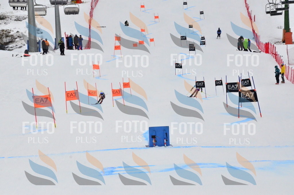 _ELE3691 | holidayphoto